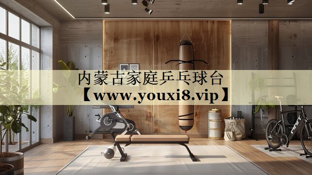 内蒙古家庭乒乓球台