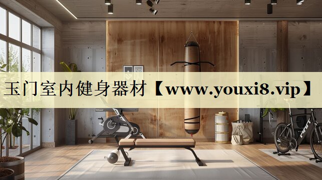 玉门室内健身器材